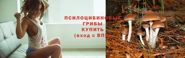 mdpv Алексин