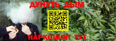 гидра Тверь