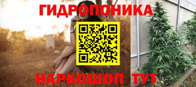гидра Тверь