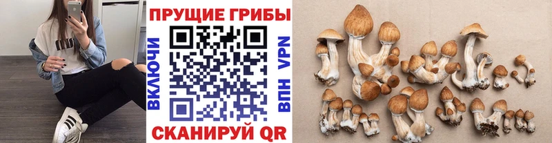 Псилоцибиновые грибы мухоморы  Павлово 