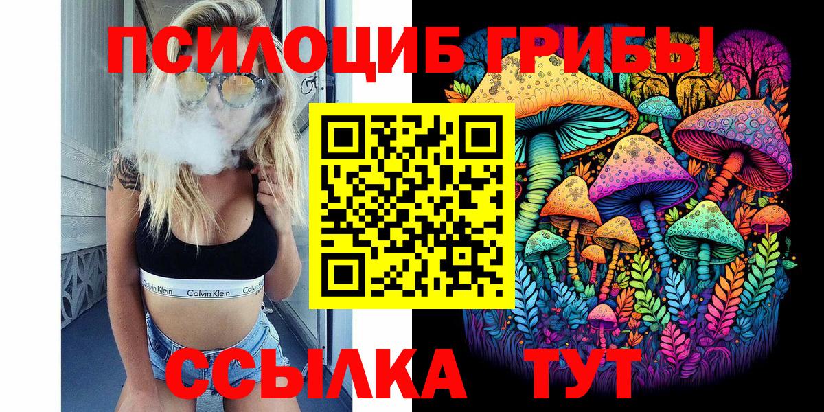 Павлово  продажа наркотиков  Вход с VPN  Галлюциногенные грибы Magic Shrooms 