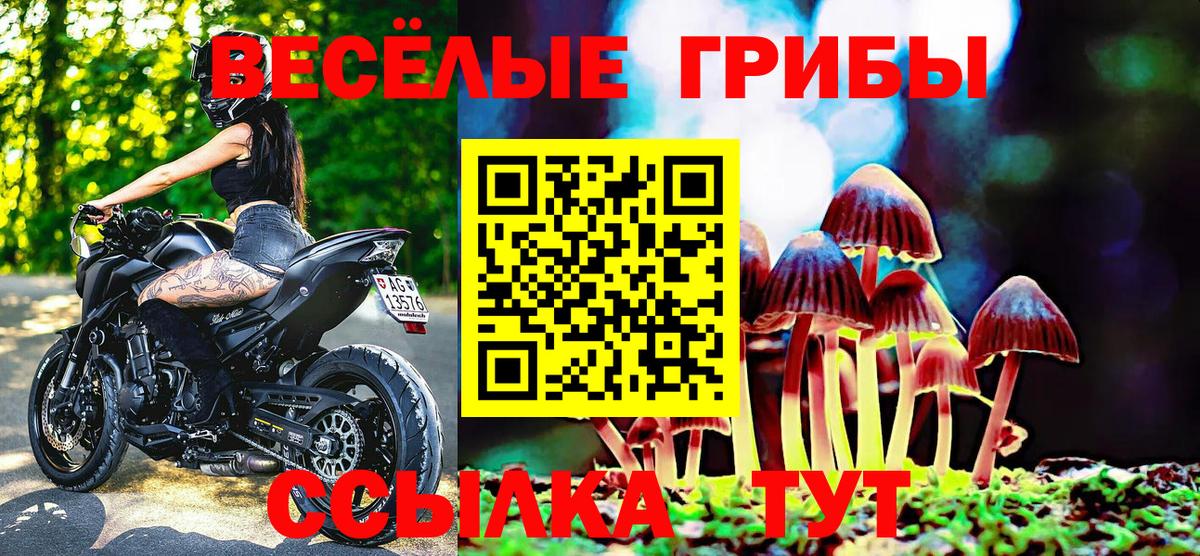Псилоцибиновые грибы GOLDEN TEACHER Павлово